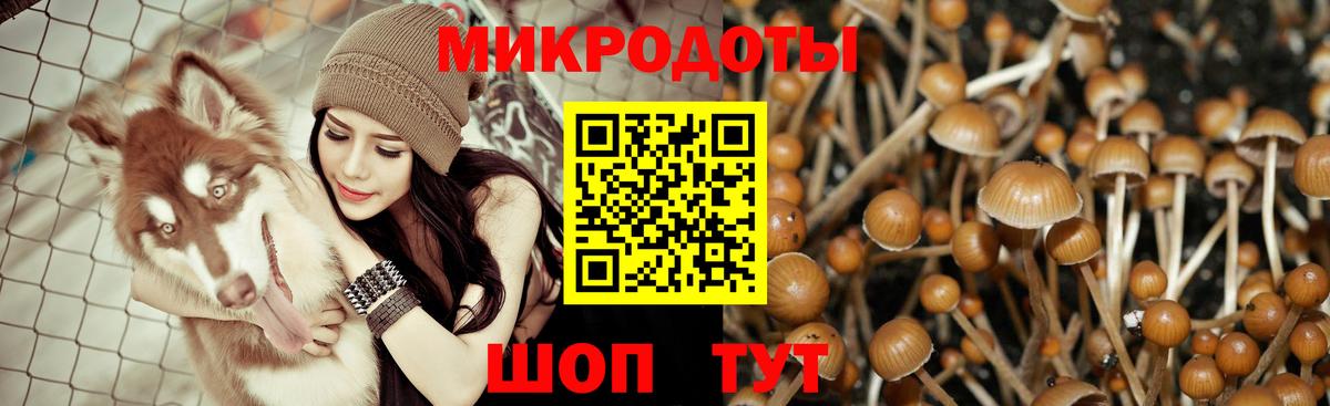 Галлюциногенные грибы Magic Shrooms Краснокаменск